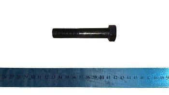 Болт кріплення вилки переднього амортизатора