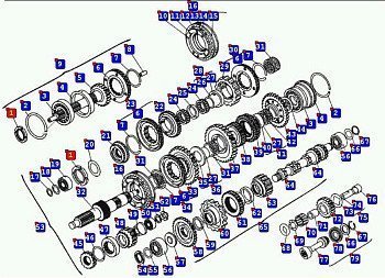 Гайка кільцева підшипника первинного валу КПП-543205,202,239 (М65х2)