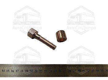 Болт кріплення колектора з втулкою