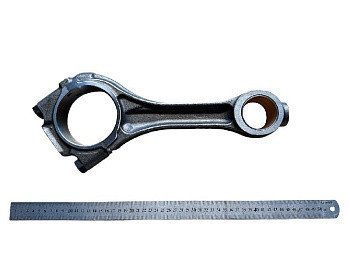 Шатун у зборі