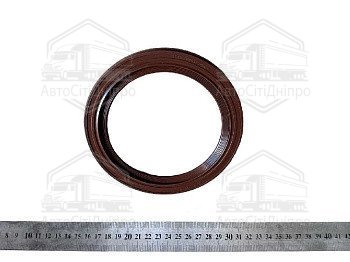 Манжета колінчастого валу задня (100х125)