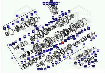 Шестерня 1-й пер.втор.вала КПП-543205 (z=38) (МАЗ)