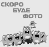 Вкладиші корінні 238-1000102-Б2-СТ (110,00) Atrac