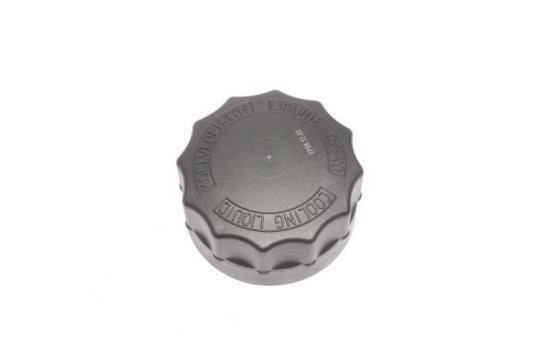 Кришка розширювального бачка DAF XF95 (TEMPEST)