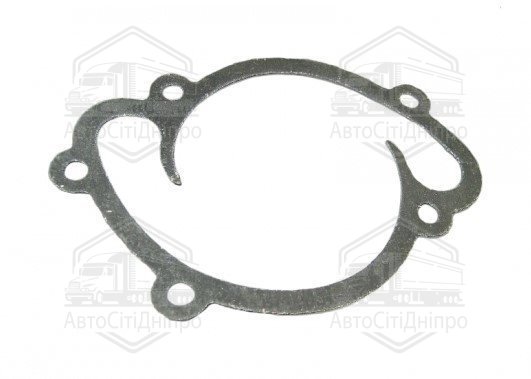 Прокладка насоса водяного 406.1307049 (ЗМЗ-406) TEMPEST