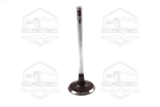 Клапан двигуна IN FORD 1.8/2.0 16V RDA/RKB 32X6X97.15 (вир-во AE)