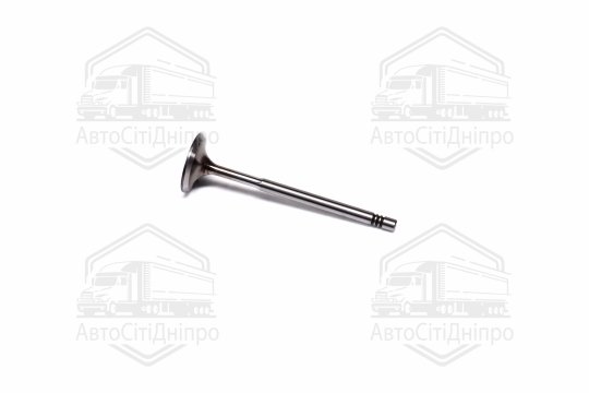 Клапан впускний VAG 1,4 16V / 1,6 16V 29.5x6x100.9 (вир-во AE)