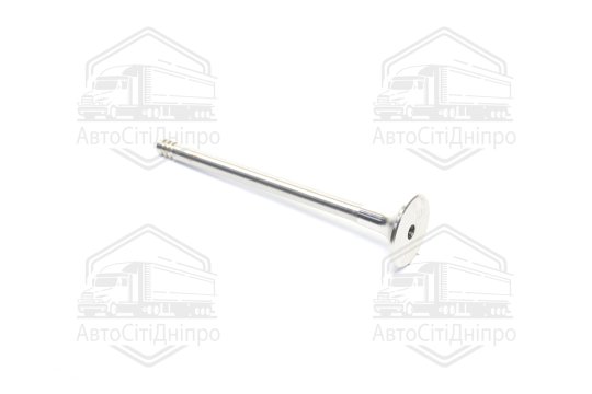 Клапан випускний VAG 2,5 TDi V6 24.1x6x100.5 (вир-во AE)