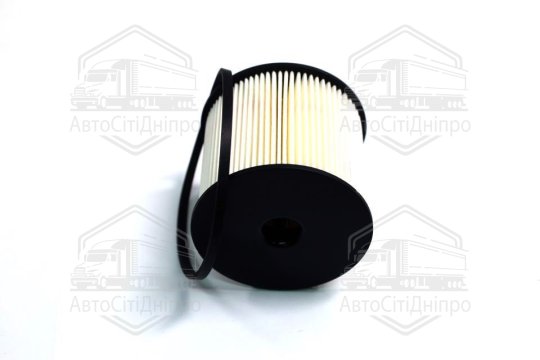 Фільтр паливний CITROEN C5 01-, PEUGEOT 307 00- (вир-во ASHIKA)