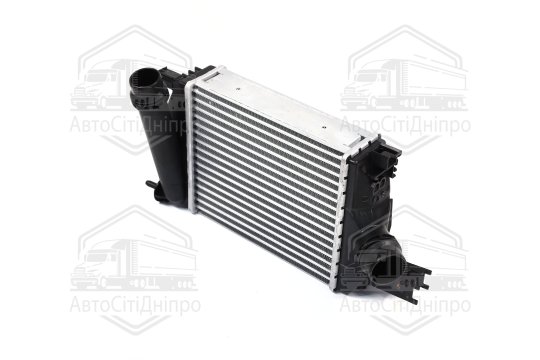 Інтеркулер DACIA LOGAN/ CLIO/ DOKKER (Ava)