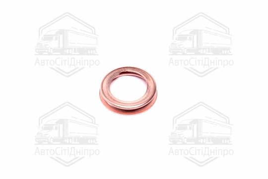 Кільце ущільнювальне оливного отвору Nissan (вир-во Blue Print)