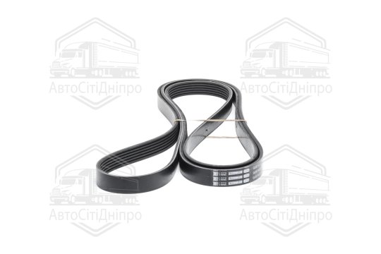 Ремінь поліклиновий (Вир-во BOSCH)