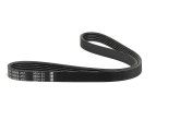 Ремінь поліклиновий (Вир-во BOSCH)
