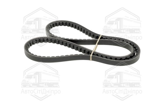 Клиновий ремінь (Вир-во Contitech)