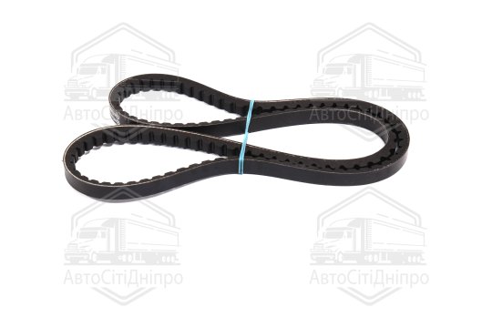 Клиновий ремінь (Вир-во Contitech)