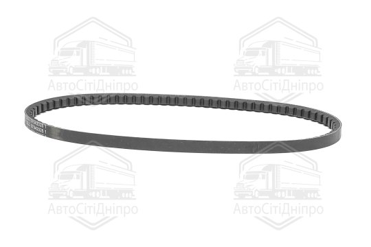 Клиновий ремінь (Вир-во Contitech)