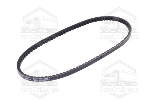 Клиновий ремінь (Вир-во Contitech)