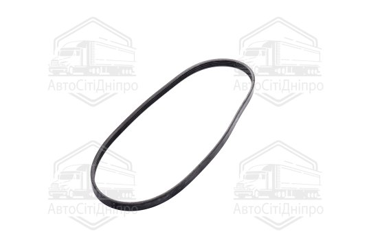 Полікліновий ремінь (Вир-во ContiTech)