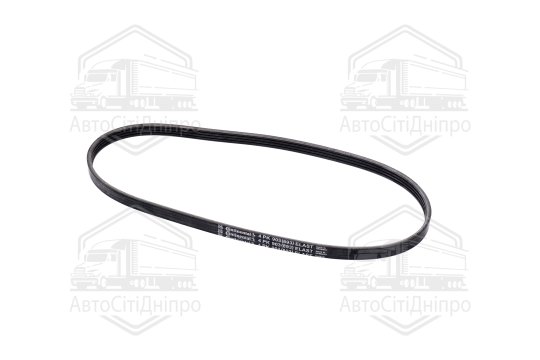 Полікліновий ремінь (Вир-во ContiTech)