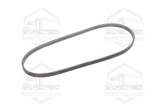 Ремінь полікліновий (Вир-во ContiTech)