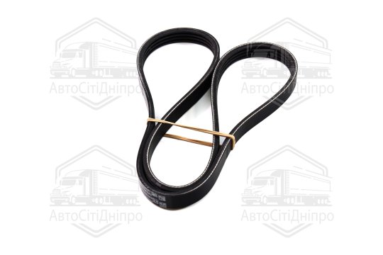 Ремінь полікліновий (Вир-во ContiTech)