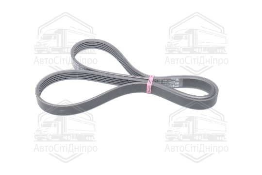 Ремінь полікліновий (Вир-во ContiTech)