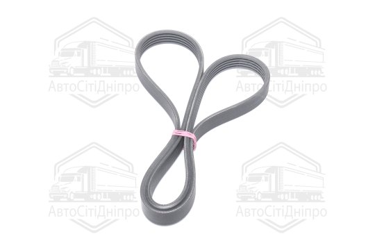 Ремінь полікліновий (Вир-во ContiTech)