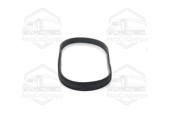 Поліклиновий ремінь (Вир-во Contitech)