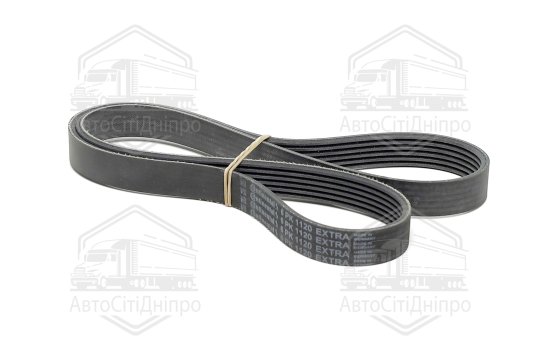 Поліклиновий ремінь (Вир-во Contitech)