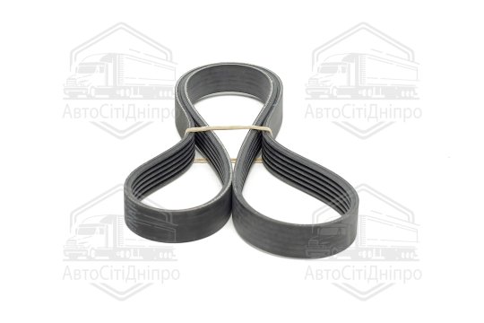 Поліклиновий ремінь (Вир-во Contitech)