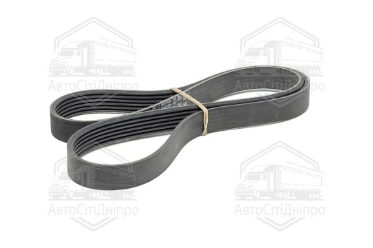 Поліклиновий ремінь (Вир-во Contitech)