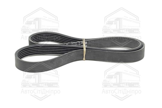 Поліклиновий ремінь (Вир-во Contitech)