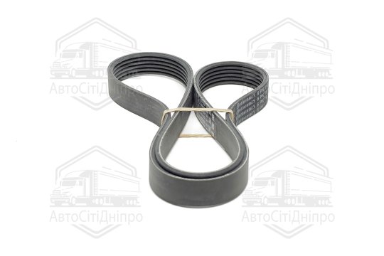 Поліклиновий ремінь (Вир-во Contitech)