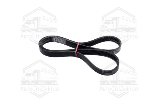 Полікліновий ремінь (Вир-во ContiTech)