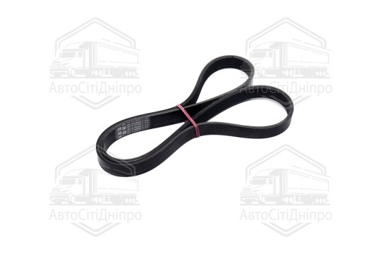 Полікліновий ремінь (Вир-во ContiTech)