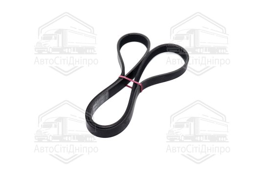 Полікліновий ремінь (Вир-во ContiTech)