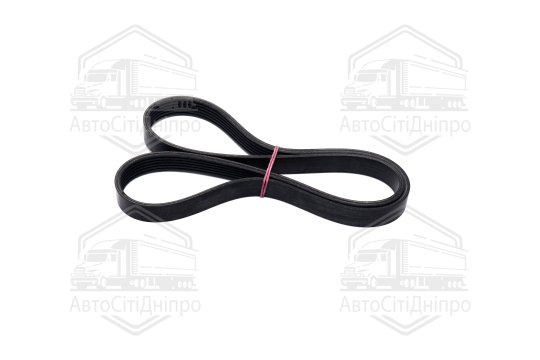 Полікліновий ремінь (Вир-во ContiTech)