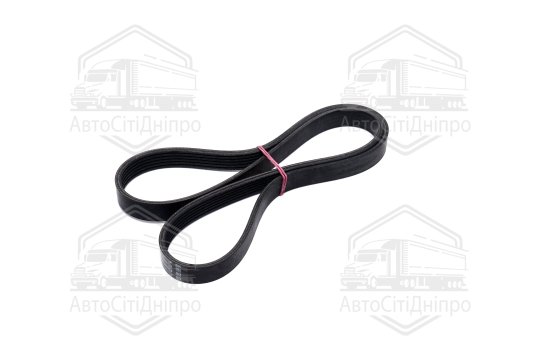 Полікліновий ремінь (Вир-во ContiTech)