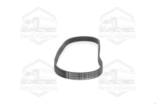 Поліклиновий ремінь (Вир-во Contitech)