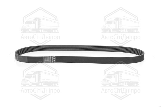 Поліклиновий ремінь (Вир-во Contitech)