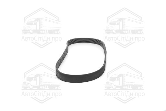 Поліклиновий ремінь (Вир-во Contitech)