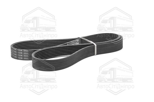Поліклиновий ремінь (Вир-во Contitech)