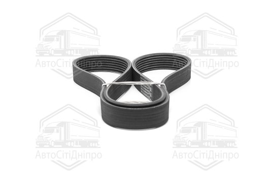 Поліклиновий ремінь (Вир-во Contitech)