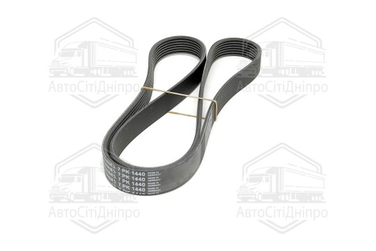 Поліклиновий ремінь (Вир-во Contitech)