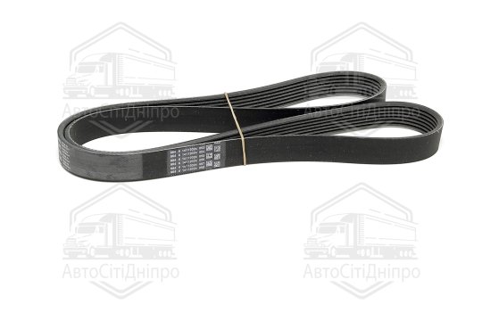 Поліклиновий ремінь (Вир-во Contitech)