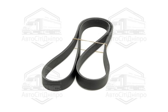 Поліклиновий ремінь (Вир-во Contitech)