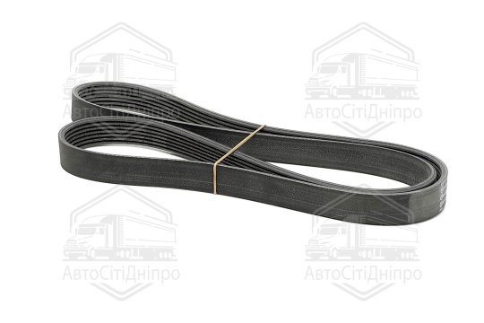 Поліклиновий ремінь (Вир-во Contitech)