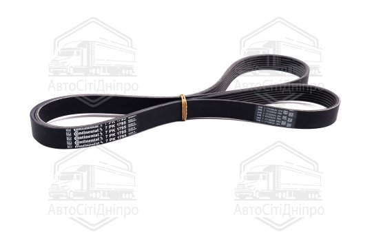 Ремінь полікліновий (Вир-во ContiTech)