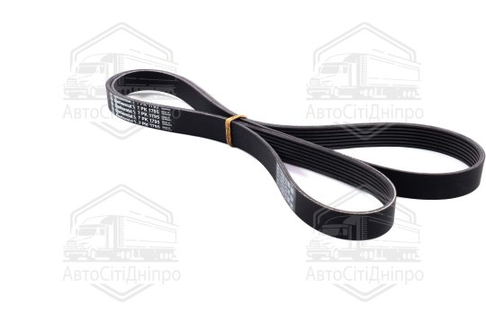 Ремінь полікліновий (Вир-во ContiTech)