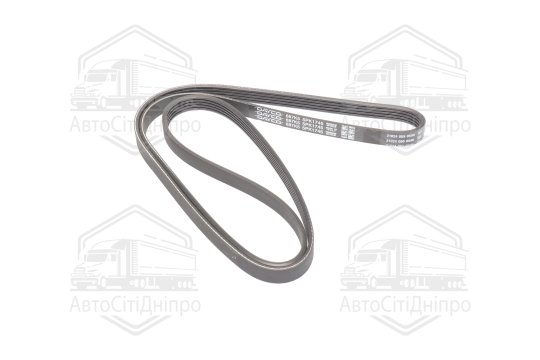 Ремінь полікліновий (Вир-во DAYCO)